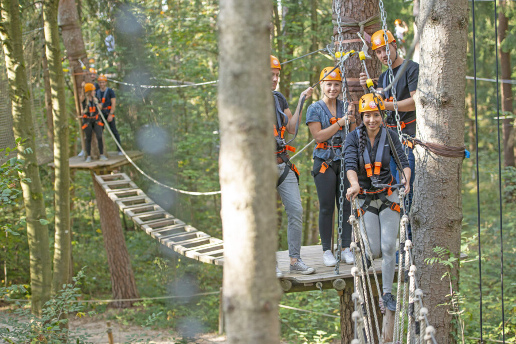 Eine große Gruppe mit Erwachsenen ist im Kletterwald und macht einen Parcours.